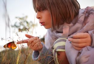 Discovering nature