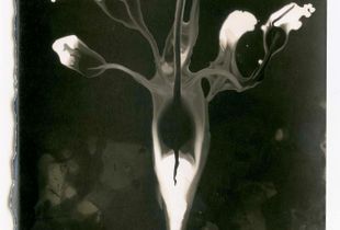 Series I  _  The beginning