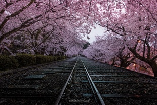 Keage Incline, Kyoto