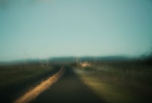 Point Reyes, California