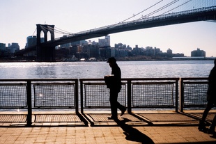 New York's bridges