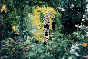 'Garden Trillogy I' from the series Conversations with my mother