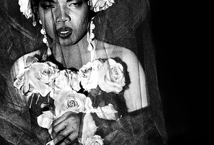 Veil and Roses