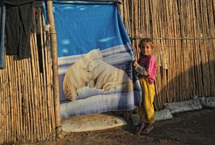 BEARS AND CJILD