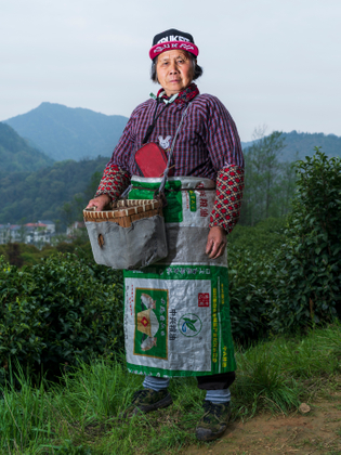 The portrait of the female Chinese tea picker