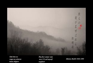 "The first winter rain"  from the research "Haiku"  © Roberto Spotti