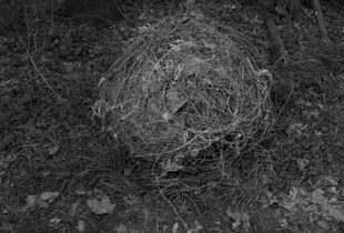 Landscape Monuments-the Orb