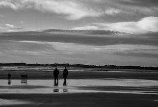 Beadnell Bay dog walkers