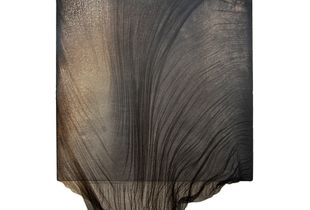 Veil