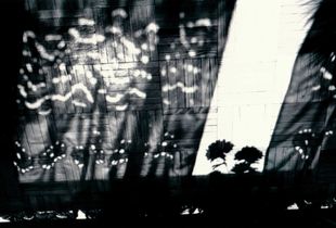 Shadows