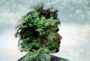 'Tree Spirit'