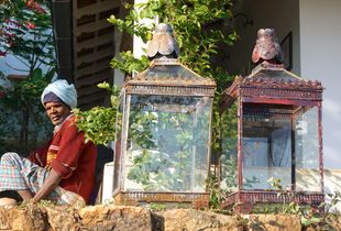 india 2015