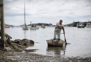 Downeast: Harborside