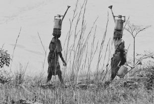 The watering cans