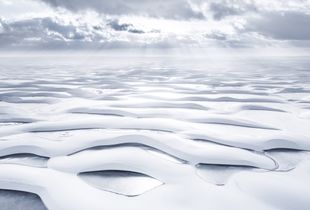 The Maze