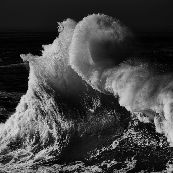 09f34452-6c22-492d-9921-