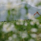 Kyunghee Lee | LensCulture