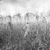 Kyunghee Lee | LensCulture