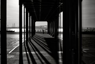 long shadows