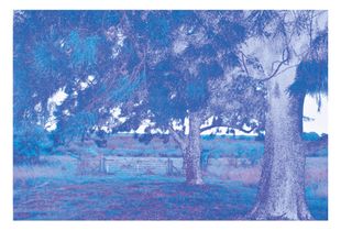 from the series 'Last walk in Eden'