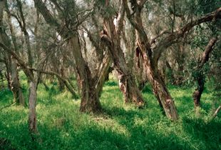 Forrestdale, Western Australia