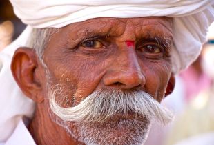 Wisdom, the man in white watching the world go by.