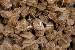 Desert Roses