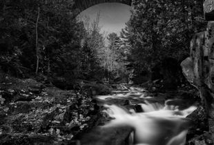 Duck Brook