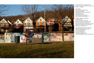 50 Greenspace Dumpsites, Forest Way, Site #2