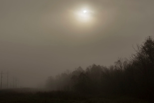 Sunrise Fog at the Chalmette Battlefield, January 21, 2016