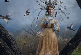 The Court of the Dryad Queen