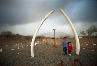 Footprints, them and whales