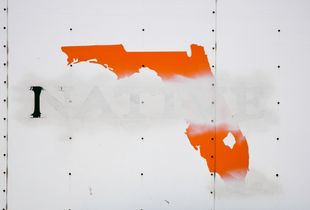 Sad Tropics (Native)