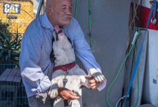 HomelessMan with Dog