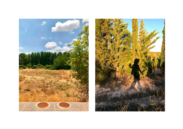 Teleport series. © cccassinello