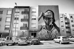 Bairro do Mocho (Owl's suburb)