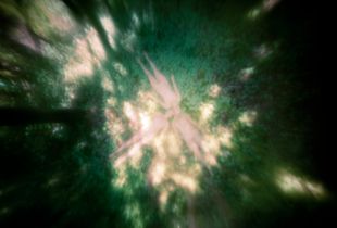 untitled, 2013; archival pigment print from large frormat pinhole negative   © DM Witman