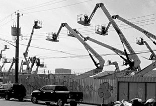 The Cranes Of Bushwick #1