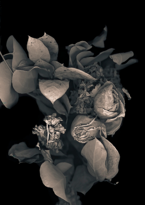 Decomposed l