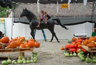The Twins, The reMARCable Pumpkin Patch, Key West, Florida. © Rona Chang