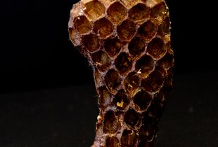 Honeycomb