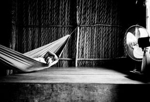 A Silent Spring