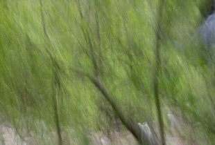 blurred, the world is gentle; reaching out