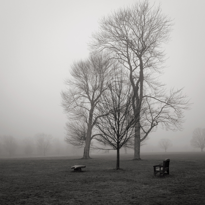 Waveny Park, New Canaan, 12 12 20
