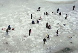 Iceholes