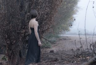 Tears of Ashes