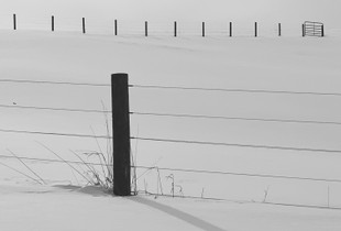 Fence in Snow