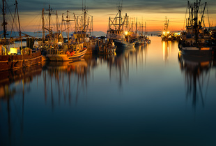 Fraser Docks