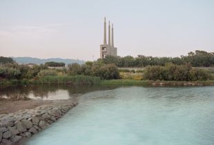 Desembocadura / Estuary