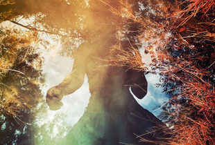 Self-portrait in a creek